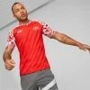 Puma Switzerland Soccer Men's Prematch Jersey